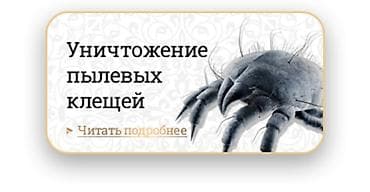 Клининговые услуги: Дезинфекция, дезинсекция, | Вирусы, микробы, Клопы, Обработка деревьев, | Дворы, Квартиры, Дома — 1