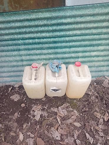 коне корсе: Канистра 20 л — 1