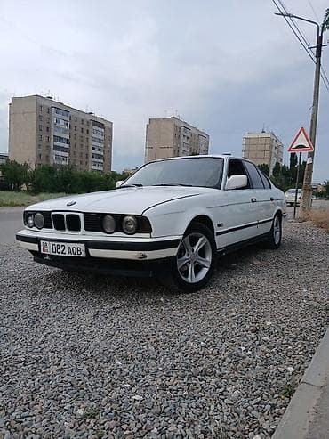 BMW 525: 1990 г., 2.5 л, Механика, Бензин, Седан