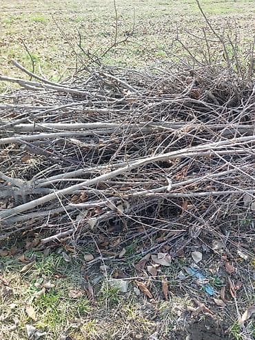 Дрова: Дрова — 1