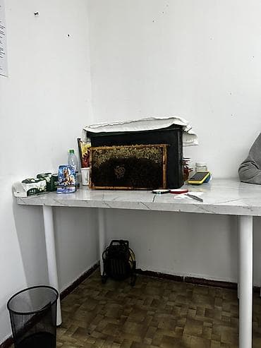 Медицинская мебель: Стол с 4 стульями, 15.000сом, шкаф 3000 сом — 2
