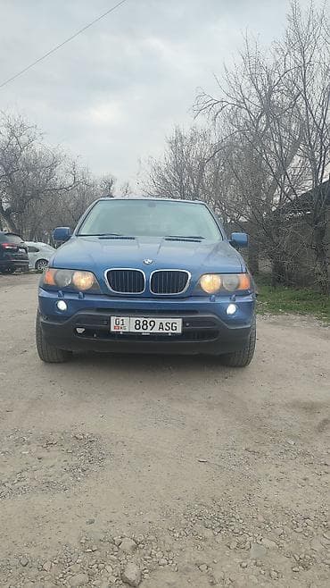 бмв 252: BMW X5: 2002 г., Автомат, Внедорожник — 1