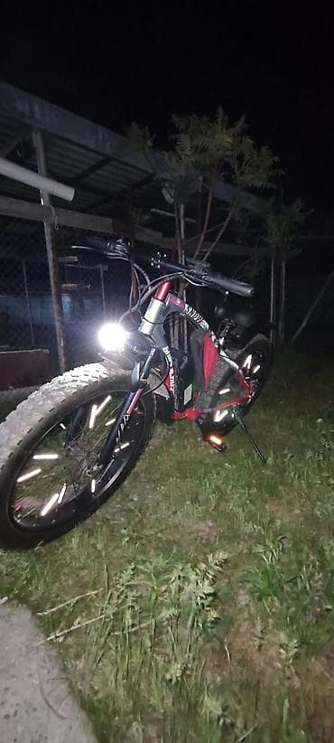 tesla model 3: Электровелосипед — 3