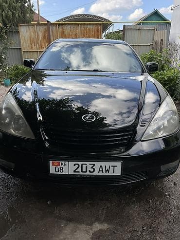 для тонировки: Lexus ES: 2002 г., 3 л, Автомат, Газ, Седан — 5