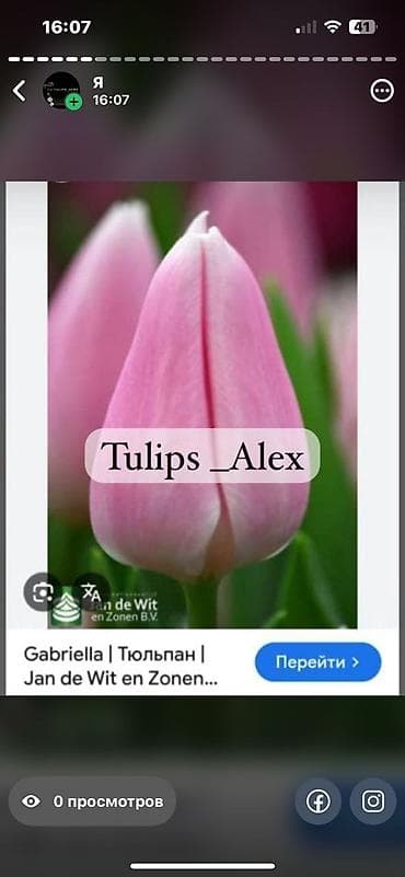 Дрова: Свежесть весны и аромат праздника - ваш секрет успеха! Дорогие — 2