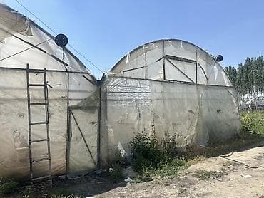 Тепличный комплекс арочного типа Описание: - Арочные теплицы на