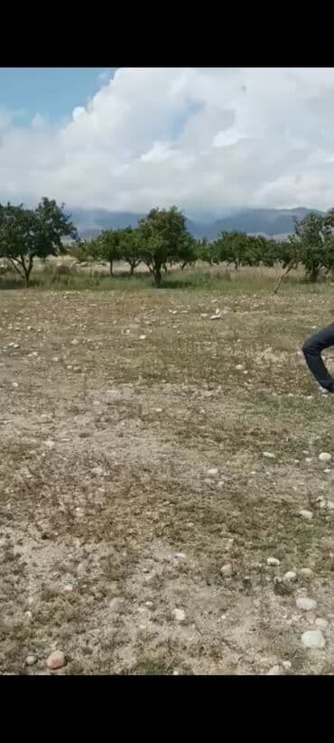 дом отдыха иссык куль: 8 соток, Для строительства, Договор купли-продажи, Красная книга — 6