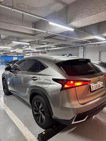 гранаты лексус: Lexus NX: 2020 г., Гибрид, Кроссовер — 1