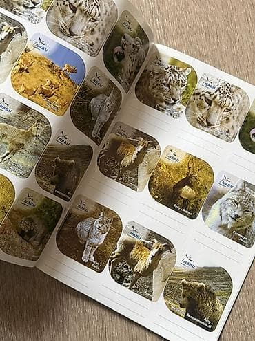 продажа животных: Книга-альбом для детей: «Кыргыз элинин үй жаныбарлары жөнүндө — 3