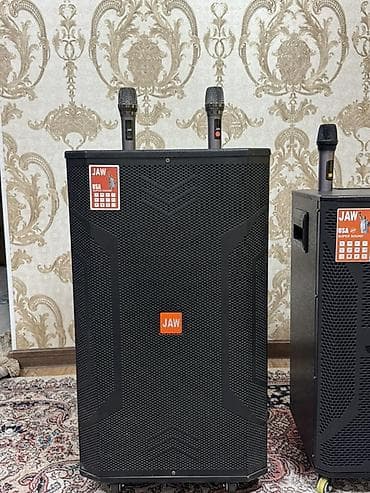 акустические системы waxiba с микрофоном: Сдаю Аренду портативная акустическая система JAW с беспроводными — 1