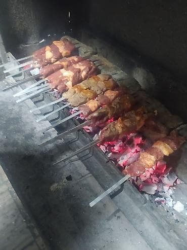 Бал: Требуетса посуда мойшитса и офицыантка г Токмок — 1