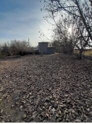 продажа дом село джал: 14 соток, Красная книга — 7