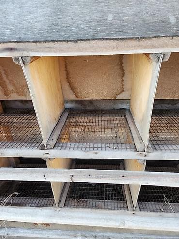 go find 66: Многоярусные деревянные клетки/гнездовые блоки для птицы (кур — 3