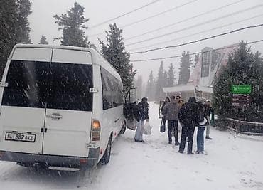 голф вента: Спринтер на заказ — 2