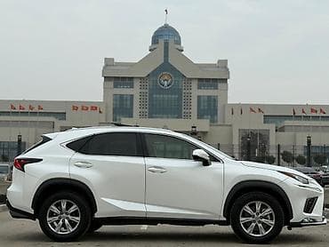 бампер ниссан патфайндер: Lexus NX: 2019 г., 2 л, Автомат, Бензин, Кроссовер — 7