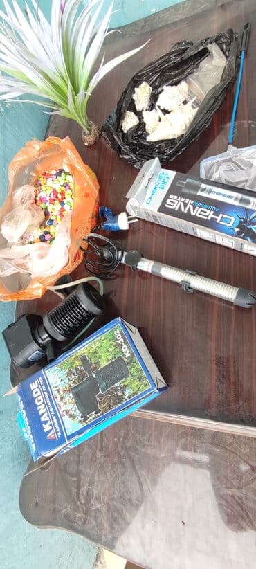 фильтр для аквариума бишкек: Продается комплект для аквариума, в Оше — 2