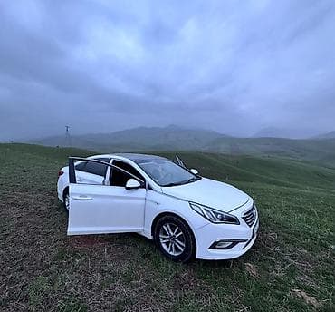 соната аксессуары: Hyundai Sonata: 2016 г., Автомат, Бензин, Седан — 3