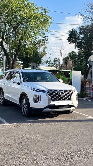ремонт панорамных крыш: Hyundai Palisade: 2020 г., 3.8 л, Автомат, Бензин, Кроссовер — 2