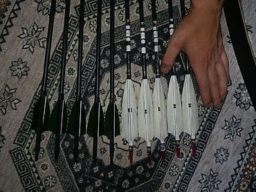 лук стрелба: Продам рекурсивный лук лук блек Хантер с полочкой на 35 фунтов это — 6