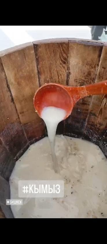 Продукты питания: Кымыз, саамал, В розницу, Бесплатная доставка — 3