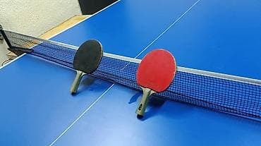 cricket bat: Настольный теннисный стол Start Line Olympic - Размер игрового поля — 1