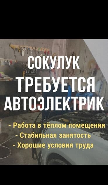 работа молочный цех: Требуется Автоэлектрик, Оплата: Ежедневно, Процент от дохода, 1-2 года опыта — 2