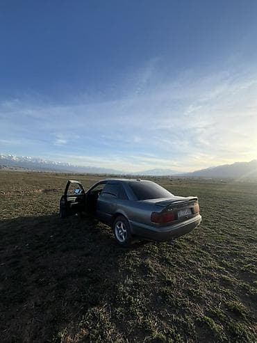 Audi: Audi 100: 1992 г., 2.3 л, Механика, Бензин, Седан — 1