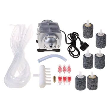 водоросли для аквариума купить: Приму в дар: аквариум (можно с небольшой трещиной), экзотических — 7