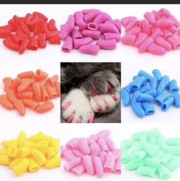 Грызуны: Силиконовый антицарапки. Многие на просторах интернета сталкивались — 1