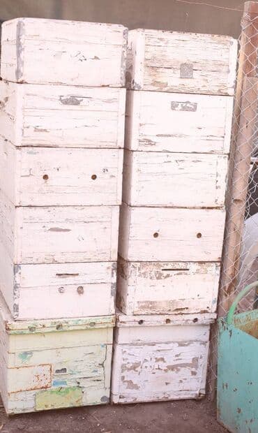 домик для кроликов: Пчелиные ульи из дерева, около 45 комплектов предназначенные для — 8