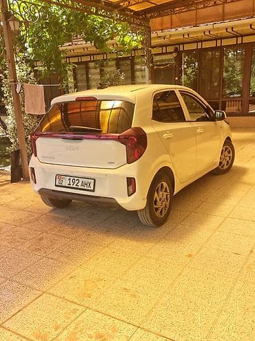 Kia: Kia Picanto: 2023 г., 0.1 л, Автомат, Бензин, Хэтчбэк — 3