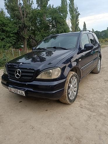 Mercedes-Benz ML-Class: 2000 г., 3.2 л, Автомат, Бензин, Кроссовер — 2