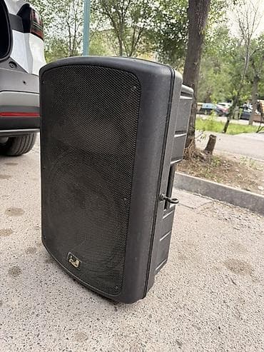 aphone x: Продаю! двухполосная акустическая система Soundking FP215. Есть торг — 3