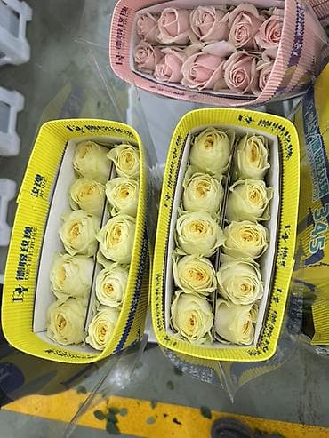 арзан гулдор: Мы — ваш надежный прямой поставщик свежих срезанных цветов из Китая на — 2