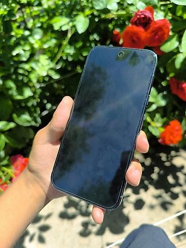 iphone kg: Google Pixel 10 Pro, Б/у, 256 ГБ, цвет - Черный, eSIM — 6