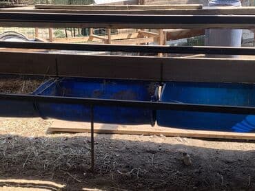 вок бу: Бочка Пластик, 220 л, Өзү алып кетүү, Акылуу жеткирүү — 6
