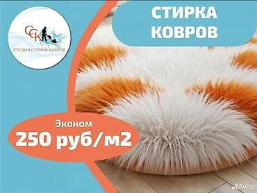 химия для чистки: Стирка ковров, | Ковер — 7