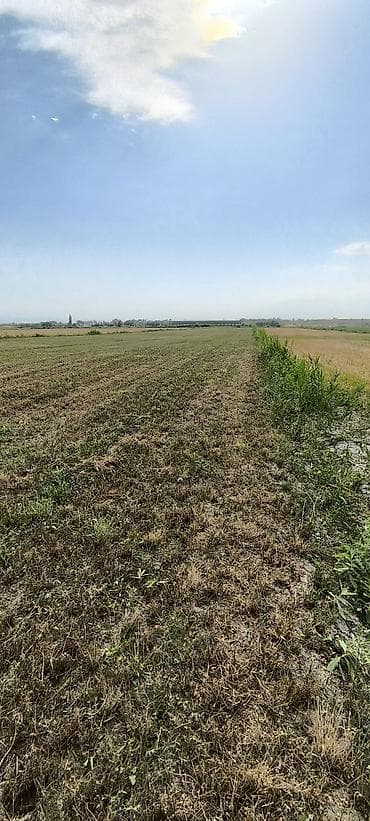 гаражи продажа: 100 соток, Для сельского хозяйства, Договор купли-продажи — 3