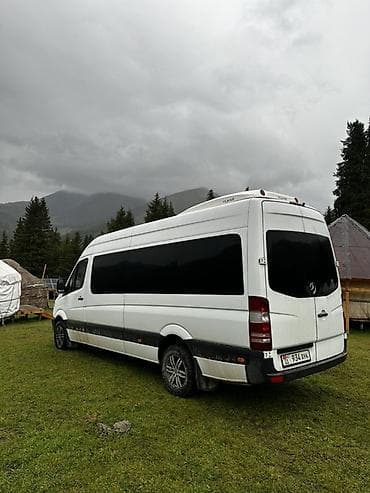мпв mpv: Пункт назначения: Все направления, Количество мест: Другое количество, Лицензия №: 123456 — 3