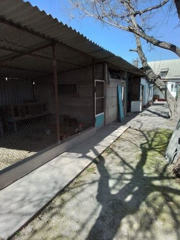 красная речка дома: Үй, 73 кв. м, 4 бөлмө, Менчик ээси, Косметикалык оңдоо — 19