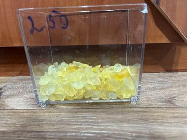 дом для птиц: В продаже 1 ракушки общий 200 сом Исскуственые растение по 35 Сомов — 7