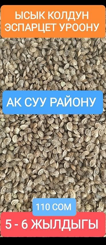 ат: Продаю | Конь (самец) | Рабочий — 2