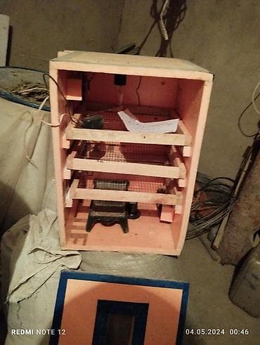 инкубаторы мини: Инкубаторы — 3