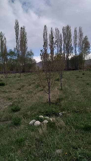 Кыймылсыз мүлк: 63 соток, Айыл чарба үчүн — 2