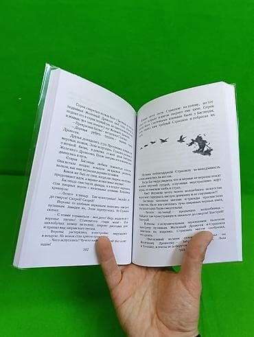 local guide program: Книга Волшебник Изумрудного Города и Изадора Мун в ассортименте📚 — 5