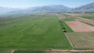 сдаю дом в районе дордой: 800 соток, Для сельского хозяйства, Договор дарения — 3