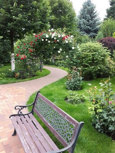 обмен на комнатные растения: Обрезка плодовых и декоративных деревьев, винограда,роз и других — 7