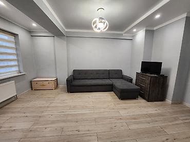 5: 1 комната, 43 м², 6 мкр Элитка, 5 этаж, Евроремонт — 4