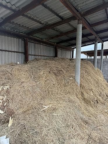Сено в навесе - Натуральное луговое сено россыпью - Хранится под