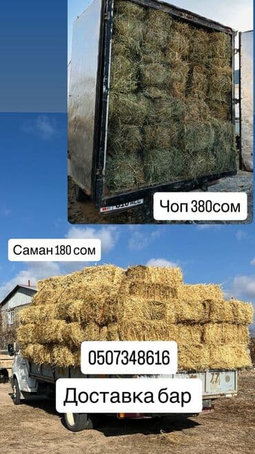 стеллажи для овощей и фруктов: Семена кормовых растений: Клевер, Бесплатная доставка — 1